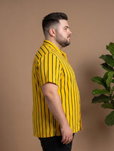 Men Plus Size Boldline Multi Striped Shirts