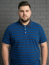 Men Plus Size Tyrian Multi Striped Polo