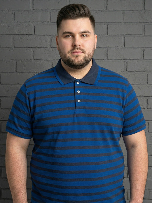 Men Plus Size Tyrian Multi Striped Polo