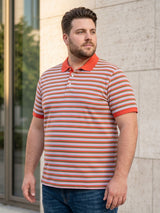 Men Plus Size Buttoned Multi Striped Polo