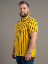 Men Plus Size Boldline Multi Striped Shirts