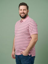 Men Plus Size Petaline Multi Striped Polo