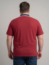 Men Plus Size Striation Maroon Solid Polo
