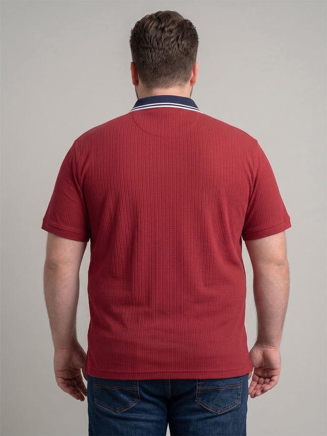 Men Plus Size Striation Maroon Solid Polo