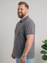 Men Plus Size Ashstone Multi Striped Polo