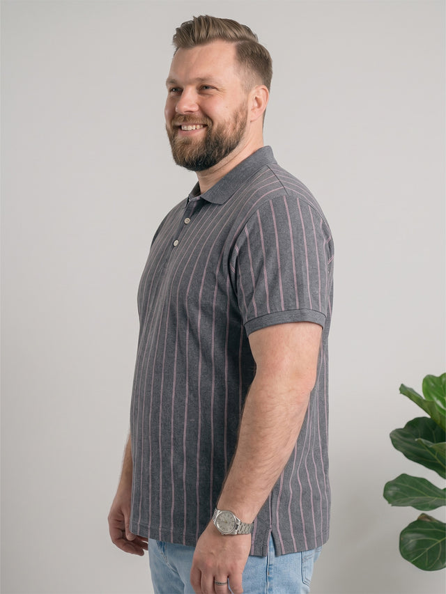 Men Plus Size Ashstone Multi Striped Polo