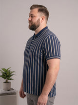 Men Plus Size Aristos Multi Striped Polo