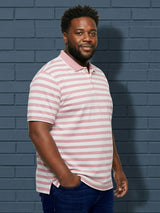 Men Plus Size Alabaster Multi Striped Polo