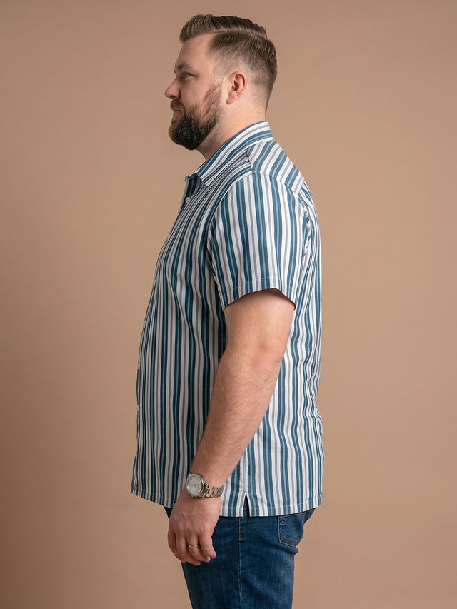 Men Plus Size Stravo Multi Striped Shirts