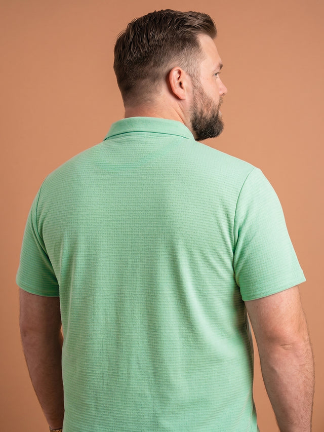 Men Plus Size Nuvia Green Solid Polo