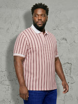 Men Plus Size Majesticline Multi Striped Polo