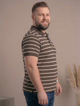 Men Plus Size Pearl Multi Striped Polo
