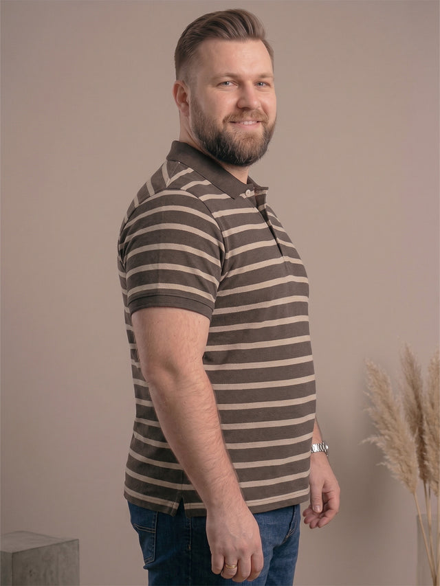 Men Plus Size Pearl Multi Striped Polo