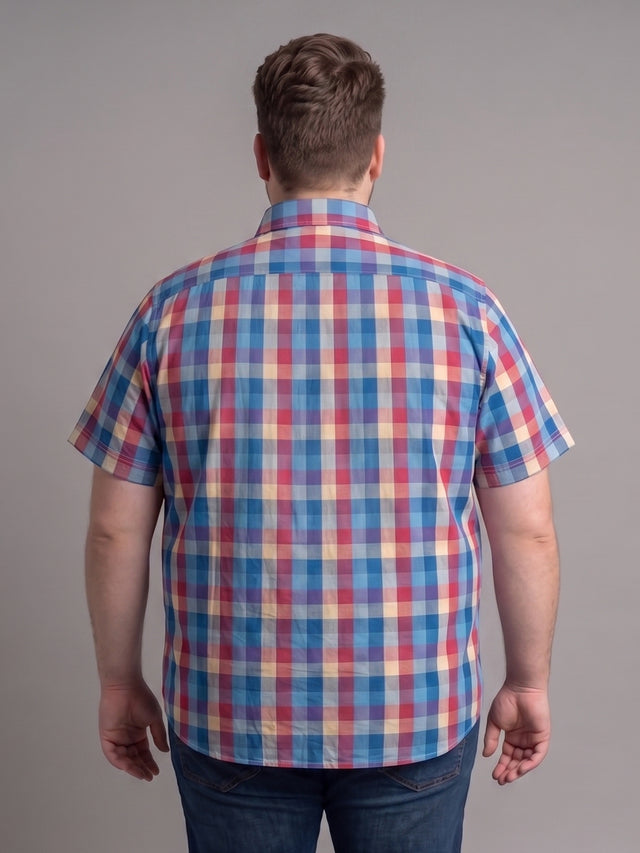 Men Plus Size Xaro Multi Check Shirts