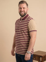 Men Plus Size Lagoon Multi Striped Polo