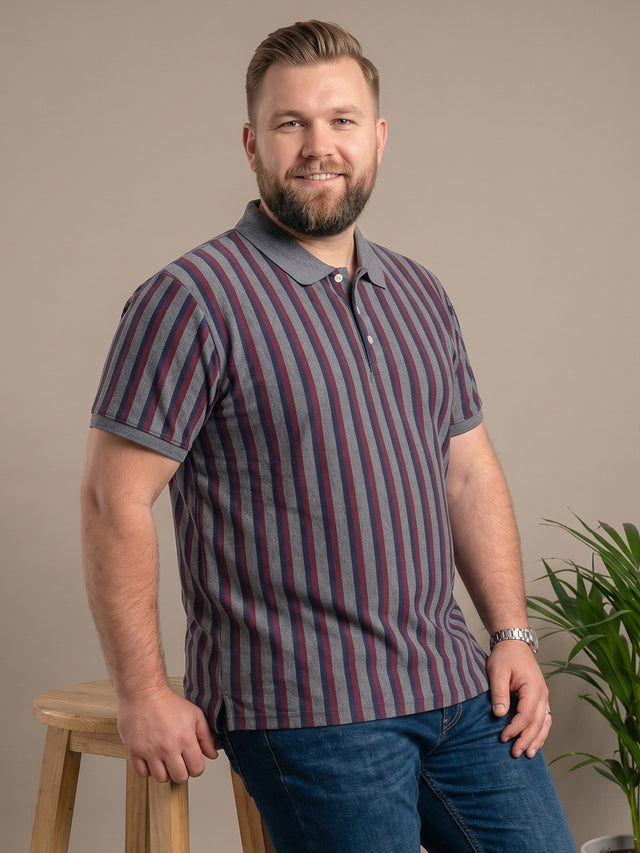 Men Plus Size Smoulder Multi Striped Polo