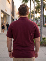 Men Plus Size Aura-Maroon Polo Men Tshirt