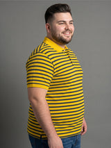 Men Plus Size Bisque Multi Striped Polo