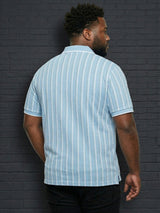 Men Plus Size Aether Multi Striped Polo