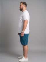 Men Plus Size Speckle Multi Striped Shorts