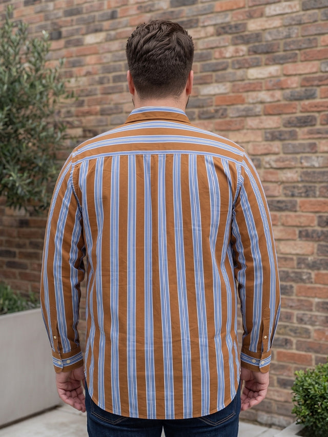 Men Plus Size Cocoa Multi Striped Shirts