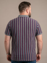 Men Plus Size Smoulder Multi Striped Polo