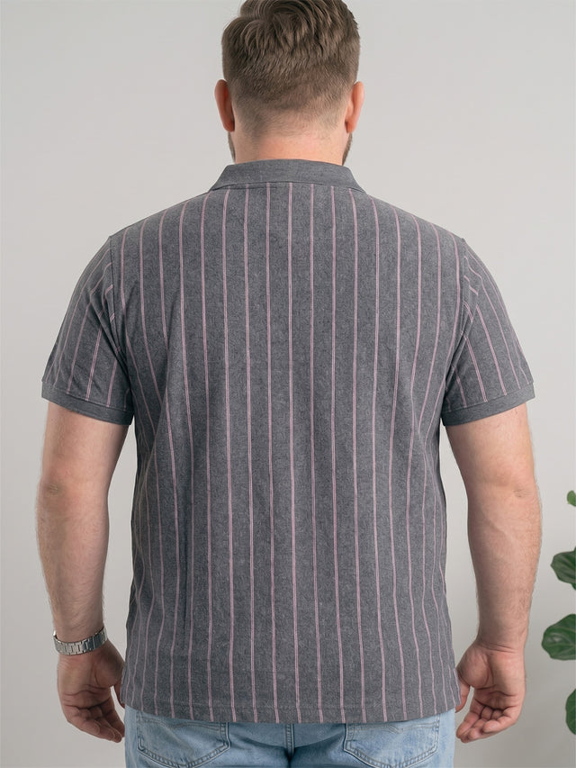 Men Plus Size Ashstone Multi Striped Polo