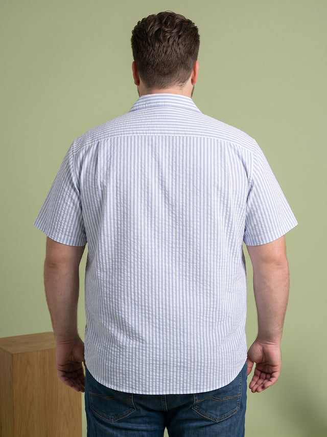 Men Plus Size Placid Multi Textured Shirts