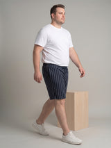 Men Plus Size Ribline Multi Striped Shorts