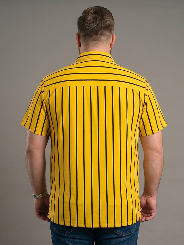 Men Plus Size Boldline Multi Striped Shirts