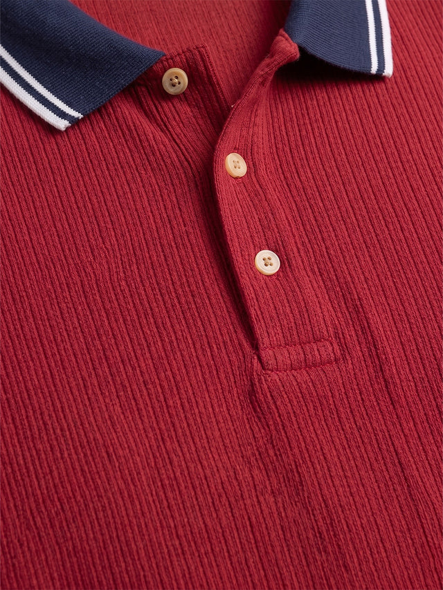 Men Plus Size Striation Maroon Solid Polo