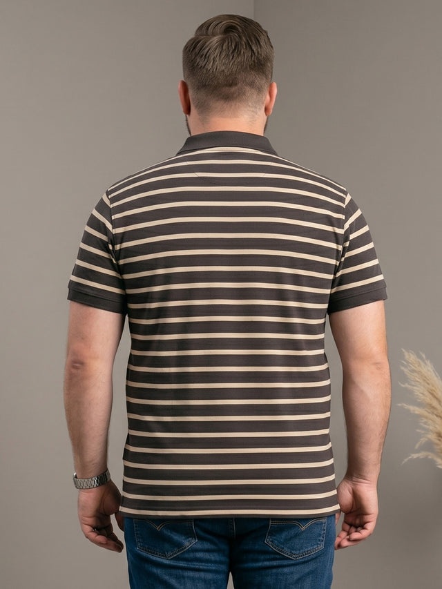 Men Plus Size Pearl Multi Striped Polo