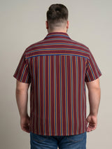 Men Plus Size Winewave Multi Striped Shirts