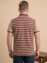 Men Plus Size Lagoon Multi Striped Polo