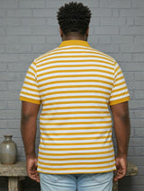 Men Plus Size Dandelion Multi Striped Polo
