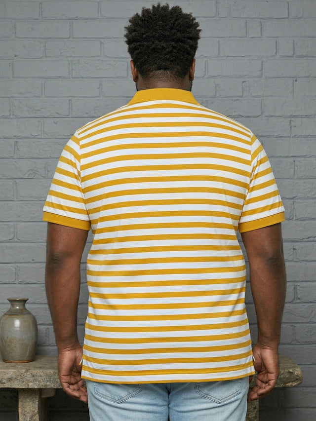 Men Plus Size Dandelion Multi Striped Polo