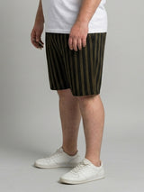 Men Plus Size Bullion Multi Striped Shorts