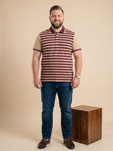 Men Plus Size Lagoon Multi Striped Polo