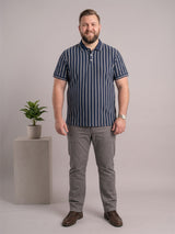 Men Plus Size Aristos Multi Striped Polo