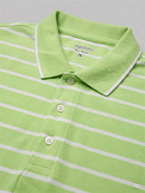 Men Plus Size Pistachio Multi Striped Polo