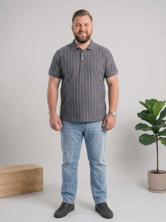 Men Plus Size Ashstone Multi Striped Polo