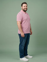 Men Plus Size Petaline Multi Striped Polo