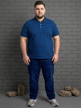 Men Plus Size Tyrian Multi Striped Polo