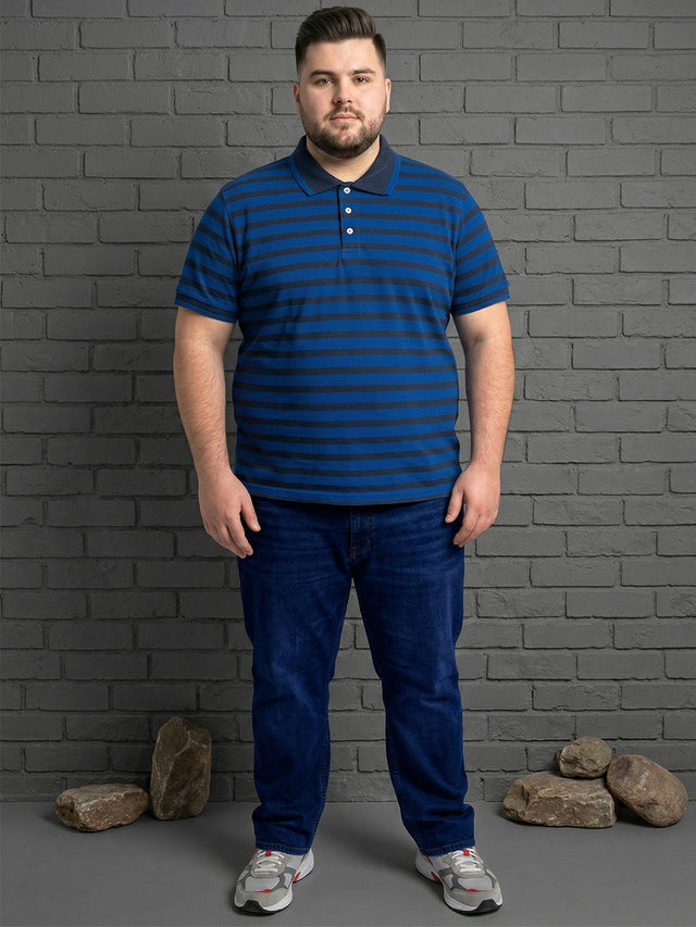 Men Plus Size Tyrian Multi Striped Polo