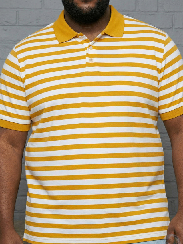 Men Plus Size Dandelion Multi Striped Polo