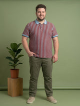 Men Plus Size Rosso Multi Striped Polo