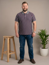 Men Plus Size Smoulder Multi Striped Polo