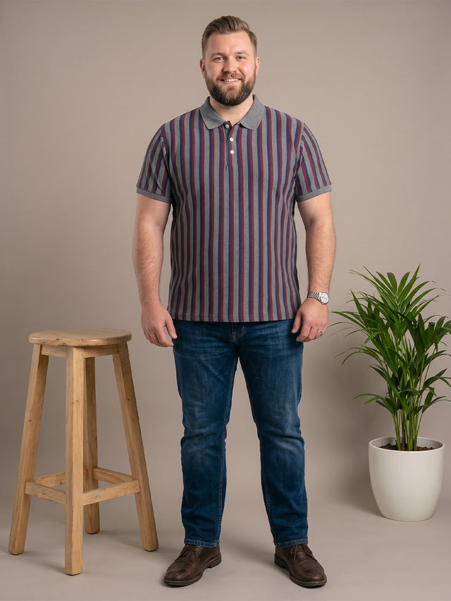 Men Plus Size Smoulder Multi Striped Polo