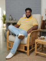 Men Plus Size Dandelion Multi Striped Polo