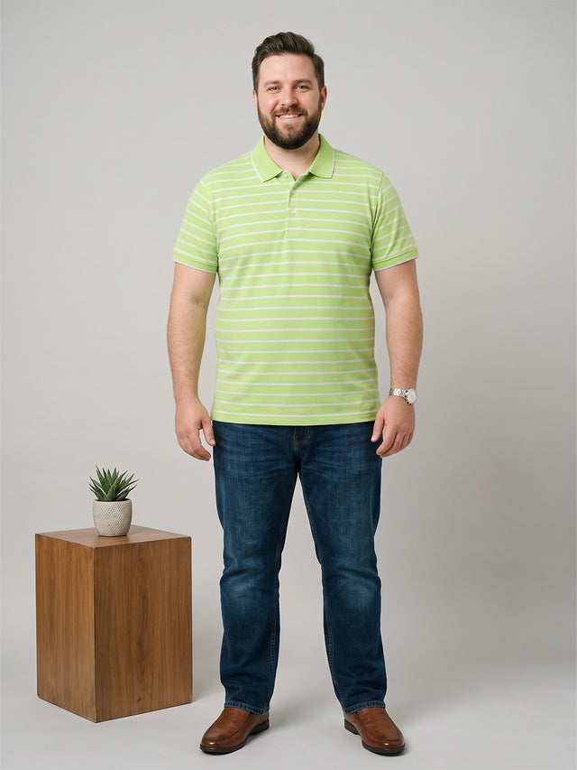 Men Plus Size Pistachio Multi Striped Polo